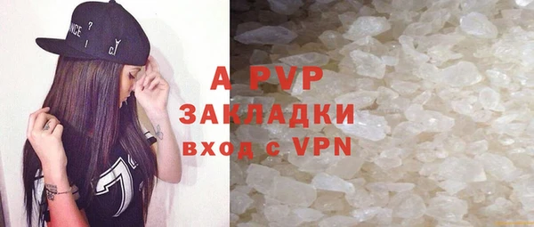 хмурый Белокуриха