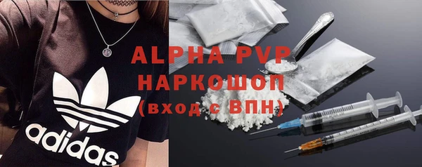 хмурый Белокуриха