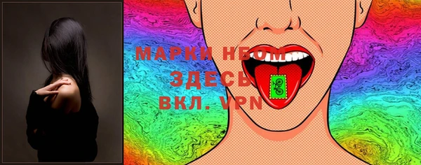 хмурый Белокуриха