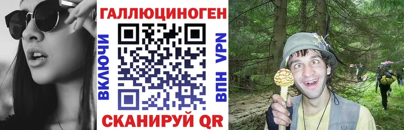 закладки  Звенигород  Галлюциногенные грибы Cubensis 